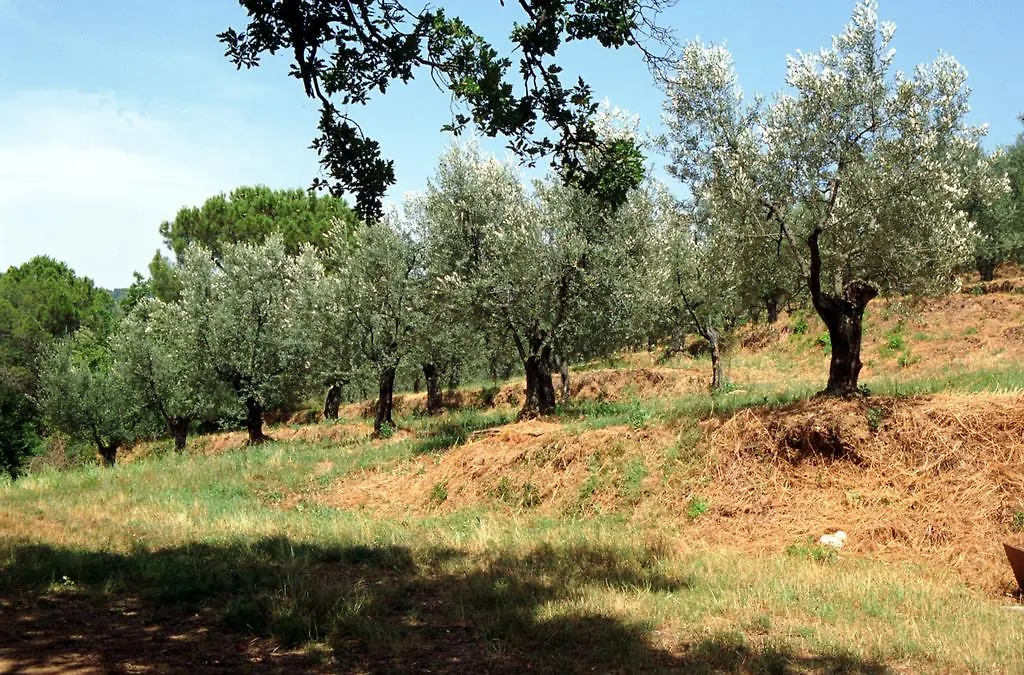 Villa Le Capanne Castiglion Fiorentino